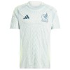 Conjunto (Camiseta+Pantalón Corto) México Segunda Equipación 2024 - Niño